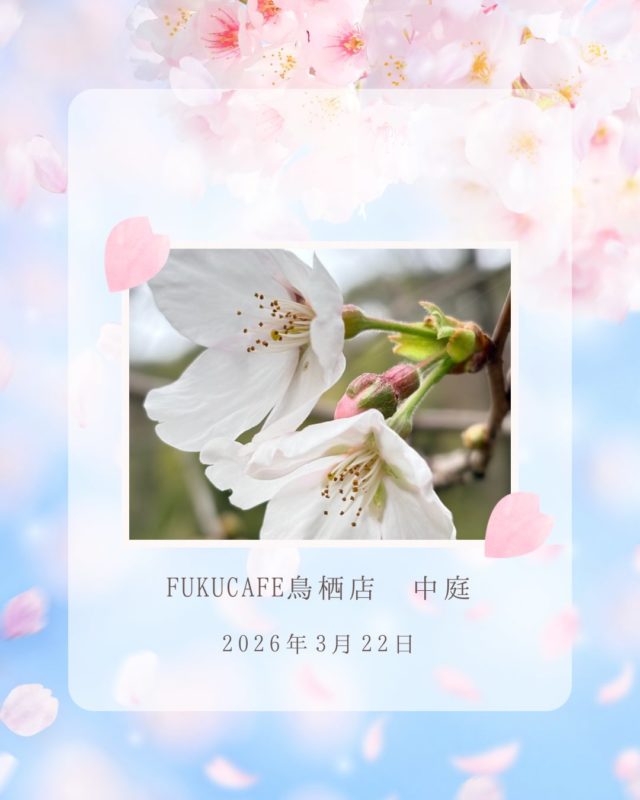 毎度ご利用頂き誠に有難う御座います。
米屋が営むおむすび食べ比べのレストラン
FUKUCAFE鳥栖店です！

FUKUCAFEでは全国各地のお米20種の中から
毎日4種をチョイスして
おにぎりで食べ比べを楽しんでいただけます。
おむすびやお漬物のおかわり無料‼️ですょ
是非　お越し下さい♪

#fuku_cafeでのお店の投稿お待ちしてます。
#おむすび
#福岡グルメ
#お米
#食べ比べ

住所：佐賀県鳥栖市江島町3066
電話：0942-81-1444
定休日：金曜日
営業時間：平日11:30～15:30 （LO.14:30）
※土、日、祝日のみ11時open

江島町 3066, Tosu, Saga
@ fukufukumai.info
@ fuku_cafe