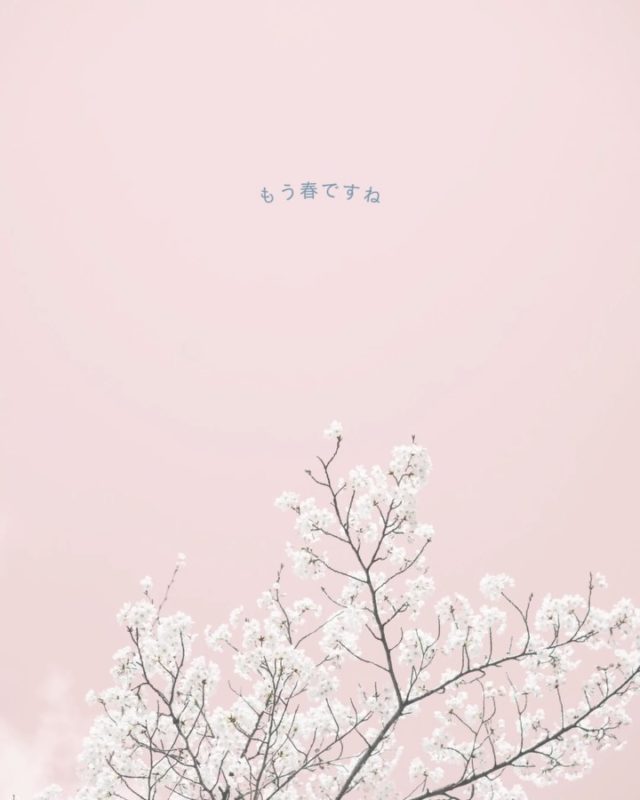 毎度ご利用頂き誠に有難う御座います。
米屋が営むおむすび食べ比べのレストラン
FUKUCAFE鳥栖店です！

最近の話題？といえば食料品の高騰
大変ですよねー

FUKUCAFE鳥栖店の隣りにある
お米の問屋　ふく福米店と
FUKUCAFE香椎浜の１階
ふく福米香椎浜店では
お客様へ感謝の意を込めて
この度　お米を１０%増量して販売します
勿論　価格はそのまま。
全国のいろんなお米　約２０種類を常時販売
この機会に是非　お店にお越し下さい

FUKUCAFEでは全国各地のお米20種の中から
毎日4種をチョイスして
おにぎりで食べ比べを楽しんでいただけます。
おむすびやお漬物のおかわり無料‼️ですょ
是非　お越し下さい♪

#fuku_cafeでのお店の投稿お待ちしてます。
#おむすび
#福岡グルメ
#お米
#食べ比べ

住所：佐賀県鳥栖市江島町3066
電話：0942-81-1444
定休日：金曜日
営業時間：平日11:30～15:30 （LO.14:30）
※土、日、祝日のみ11時open

江島町 3066, Tosu, Saga
@ fukufukumai.info
@ fuku_cafe